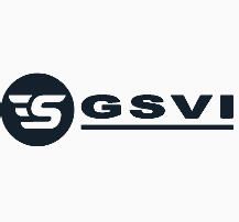 GSVI